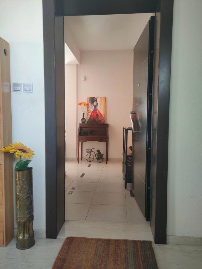 Museum Apartment 볼로스 외부 사진